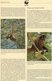 Delcampe - 1990 WWF 3 Sets 91 Honduras 1084/7 **, 4x MC+FDC 42€ Klammer-Affen Naturschutz Documentation Geoffrey Monkey Of AMERICA - Nature