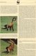 Delcampe - 1990 WWF 3 Sets 91 Honduras 1084/7 **, 4x MC+FDC 42€ Klammer-Affen Naturschutz Documentation Geoffrey Monkey Of AMERICA - Nature