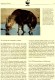 Hyänen 1995 WWF-Set 190 Botswana 586/9 4-Streifen ** 10€ Schabracken-Hyäne Dokumentation Fauna Wildlife Stamps Of Africa - Protection De L'environnement & Climat