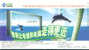 Dolphins  ,  Prepaid Card  , Postal Stationery - Dolphins