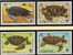 Fauna WWF-Set 2 Anguilla 541/4 **,4FDC+4MKt. 158€ Meeres-Schildkröte 1983 Dokumentation Water Cover/mc Sets Of Caribic - Lettres & Documents