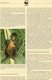 Klammer-Affen 1990 Honduras 1084/7 O 4€ Naturschutz Affen WWF-Set 91 Documentation Wildlife Geoffrey-monkey AMERICA - Oblitérés