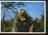 PHOTO POSTCARD  ANIMAL RESERVE SOUTH AFRICA CARTE POSTALE - Afrique Du Sud