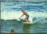 Surfing In Australia  , Entier Postal Poste  Neuf.  Recto-verso - Postal Stationery
