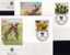 WWF-Set 58 Guinea 1114/7 4FDC 16€ Wilder Hund Aus Afrika Mit Dokumentation - Milieubescherming & Klimaat