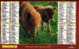 CALENDRIER ALMANACH 2004 - Grossformat : 2001-...