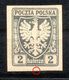 Polska Polen 1919, Michel-Nr.  54 (*) - Oblitérés