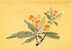 Folder Taiwan 1996 Ancient Chinese Engraving Painting Series Stamps 4-3 - Fruit Vegetable Orange Lotus - Nuevos