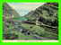 KILLARNEY, IRELAND - THE GAP OF DUNLOE - ANIMATED -  TRAVEL IN 1980 - - Kerry