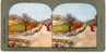 Palestine Holy Land "Jerusalem Mount Calavry And Old City Northern Wall" Stereo Colorful Postcard 1904 - Stereoscope Cards