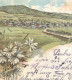 ALTE LITHO POSTKARTE GRUSS AUS NISTER HACHENBURG NISTER-HAMMER Stempel Feldpost Postmark Crefeld Cpa Postcard AK - Hachenburg