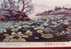 Folder Taiwan 1975 Madame Chiang Landscape Painting Stamps Mount Clouds Moon Sun Lotus Pine Seasons - Neufs