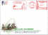 FDC Taiwan 2008 Rock Monkey Meter Stamp Map (5-3 Of TAIPEI 2008) - FDC