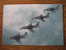 7 Postcards Millitary Aeroplanes :KRAGUJ,ORAO,GALEB,LASTA,..JNA - 5 - 99 Postales