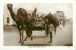 YEMEN , ADEN , Maala Lord Camels And Cart , *4855 - Yémen