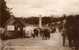 CARDIFF  -  Roath Park - Promenade With Clock Tower - Glamorgan