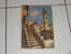 Delcampe - 7  CARTES   DE  LA  CORSE - 5 - 99 Postcards