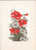 FLOWERS / HONGRIE Telegramme De Luxe Illustre Hungary - Telegraphenmarken