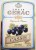 LOT DE 4 ETIQUETTE FRUIT FRUITS CASSIS BANANE ORANGE SANGUINE MURE LOUIS GERAC CHARENTE MARITIME ETIQUETTES - Obst Und Gemüse