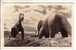 GOOD OLD USA POSTCARD - Rapid City - Dinosaur Park - Mills Photo 912B - Rapid City