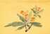 Folder 1996 Ancient Chinese Engraving Painting Series Stamps 4-3 - Fruit Vegetable Orange Lotus - Grabados
