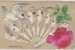 GREETING - Remember Me - LARGE FAN - DOVE - VELVET ROSE - HEAVILY EMBOSSED - EMBELLISHED - 1911 - Other & Unclassified