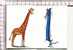 GIRAFE   -  SOURIS   -    Illustration  :  Sophie Turrel  - Carte Double Pt Ft - Giraffes