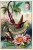 Delcampe - 0540 Oiseaux Et Fleurs Exotiques - Extrait De Viande Liebig Set 6 Chromo Litho Cards PERFECT CONDITION - Liebig