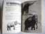 REVUE ZEMBLA N° 473 JUIN 1994 CHAUVE SOURIS MAMMOUTH ELEPHANT GEORGE DARWIN TORTUE PINSON COELACANTHE POISSON - Zembla