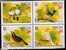 Singapore 1995 Macao 814/7, ZD, Block 30+ Kleinbogen ** 132€ Brillenvogel Sonnenvogel, Häherling, Kanarienvogel, Drossel - Blocks & Sheetlets