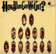 * 2LP *  HOW BLUE CAN WE GET? - VARIOUS ARTISTS (Holland 1970  On Blue Horizon ,very Rare, Ex-!!!) - Blues