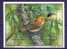 Cook Islands 1989 Birds Oiseaux  Aves WWF Protected Fauna Rarotonga Fruit Dove Birdpex 90 Mini Sheet MNH - Pigeons & Columbiformes