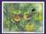 Cook Islands 1989 Birds Oiseaux  Aves WWF Protected Fauna Rarotonga Fruit Dove Birdpex 90 Mini Sheet MNH - Tauben & Flughühner