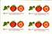 Delcampe - Duftende Blüten Bund Satz, MH, Selbstklebend Plus 4-Block ** 40€ Apfel, Zitrone, Erdbeere, Heidelbeere - Ernährung