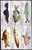 Naturschutz Fische 1988 Brasilien 2276/1,24xZD-Varianten+6-Block O 40€ Beil Bart Neon Kärpfling Wels Glanzwels Bf BRAZIL - Colecciones & Series