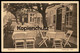 ALTE POSTKARTE INSEL HELGOLAND RESTAURATION HAMBURGER HOF Restaurant Bavaria Brauerei Ansichtskarte AK Cpa Postcard - Helgoland