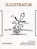 Illustrator 2000 Issue Special Charles Schulz Peanuts Happiness Is...and 1999 Annual Art Competition Winners - Altri & Non Classificati