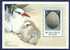 British Virgin  1990 Birds Oiseaux Aves Eggs Tern Tropicbird Sheet MNH - Marine Web-footed Birds