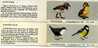 NORWAY/NORGE - 1980  BIRDS  BOOKLETS (2)   MINT NH - Booklets