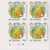 Parrot, Hamming Bird, Pineapple, Fruit, Columbus, Explorer, Block Of 4 MNH St Vincent - Christopher Columbus