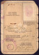 ISTRIA - RIJEKA -  BUZET - CARTA  D'IDENTITA - MARCA Da BOLLO   100,- Lir - 1946 - Marcophilie