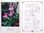Folder Taiwan 1984 Alpine Plants Stamps Flower Flora Plant - Unused Stamps