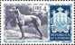 SAN MARINO 1956 CANI SERIE COMPLETA MNH - Neufs