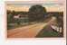 Road View - Pub. By Asheville Postcard Co., Asheville, North Carolina - American Roadside