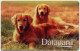 DATACARD Magnetic-DOGS - Zonder Classificatie