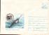 Romania. Whales Baleins 2 COVERS  Enteire Postal 1994.(B) - Arctic Wildlife