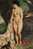 Oil Painting Nude Naked  ,  Postal Stationery -Articles Postaux -Postsache F (Y11-56) - Desnudos