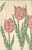 1561 - Tulipes En Reproduction De Timbres Poste Suisse - Fleurs