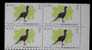 Block 4 Margin-1979 Taiwan Birds Stamps Bird Pheasant Babbler Yuhina Fauna Resident Swinhoe - Hoendervogels & Fazanten