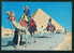 GIZA / Gizeh - THE BIGGEST PYRAMID - La Plus Grande Pyramide - CAMEL - Egypt Egypte Agypten Egitto Egipto 97080 - Pyramides